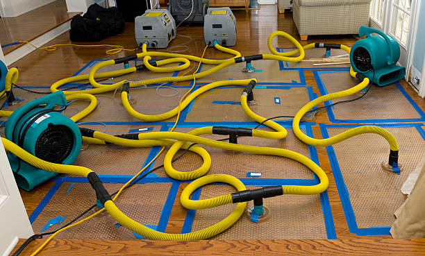 Professional Sewage Cleanup technician working in Wellston, MO